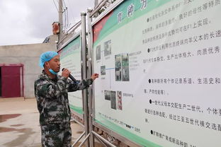 科技賦能，服務引領 技術推廣在脫貧攻堅與農民增收中的核心作用